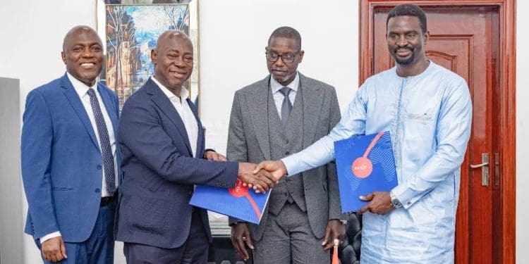 Margins Gambia contract