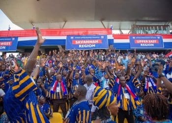 NPP primaries delegates
