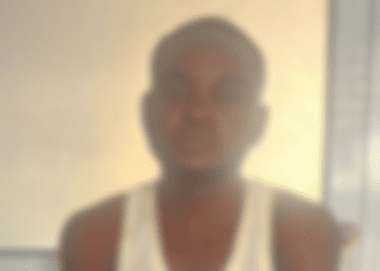 Killer Police Zebilla