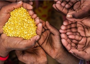 Ghanaians food Statistical